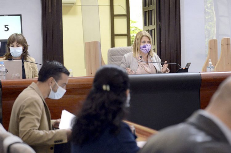 El Pleno adapta su contenido y sólo aborda los asuntos más urgentes y los relacionados con la COVID-19