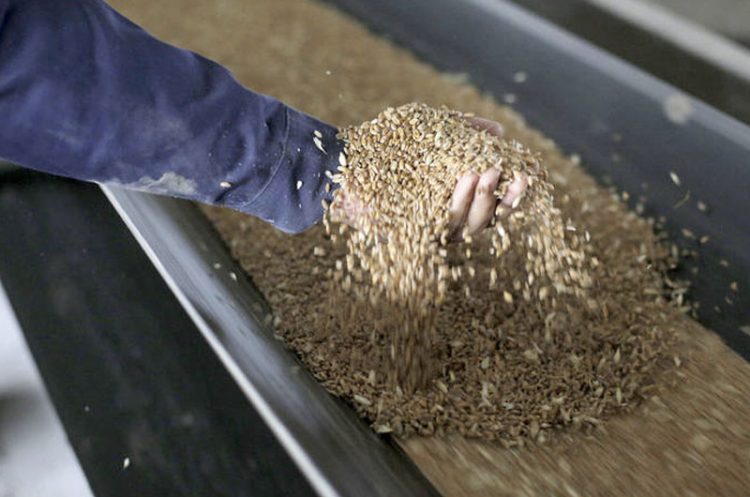 Los precios mundiales de los alimentos siguieron subiendo en octubre