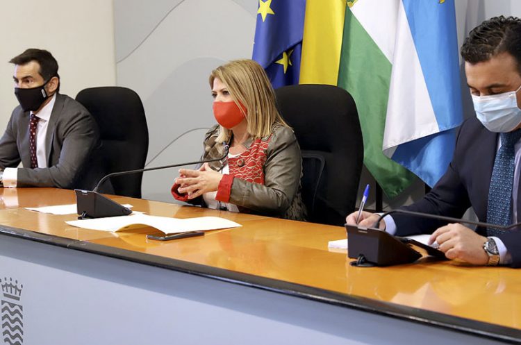 Comienza la construcción de un nuevo parque fotovoltaico en Jerez con una inversión de 50 millones de euros