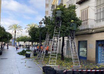 Iniciada la campaña de retirada de ‘naranja agria’ del viario público