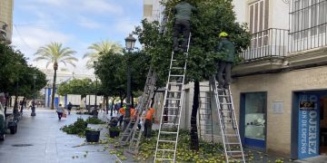 Iniciada la campaña de retirada de ‘naranja agria’ del viario público