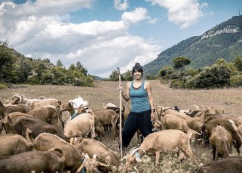 Una ganadería sostenible en plena crisis: las pastoras de Catalunya
