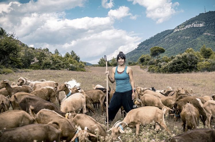 Una ganadería sostenible en plena crisis: las pastoras de Catalunya