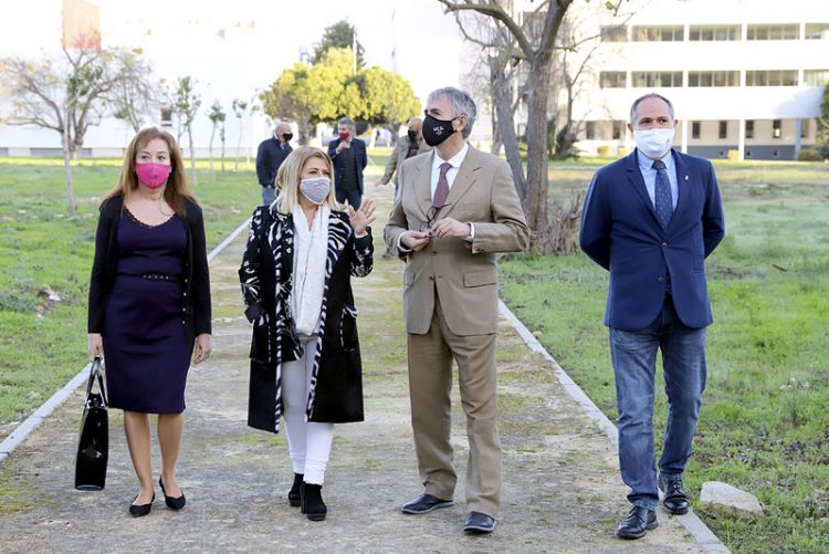 El Campus universitario de la Asunción se abre al Paseo de las Delicias