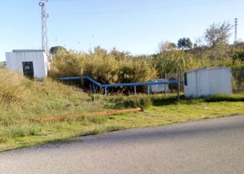 Proponen al pleno de Arcos de la Frontera declarar el municipio libre de glifosato