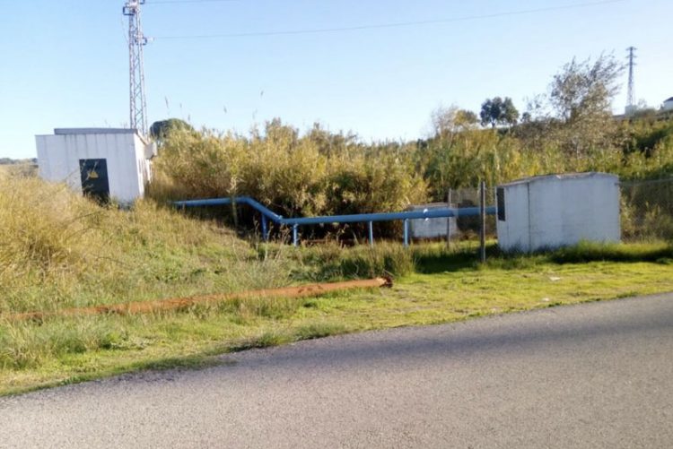 Proponen al pleno de Arcos de la Frontera declarar el municipio libre de glifosato