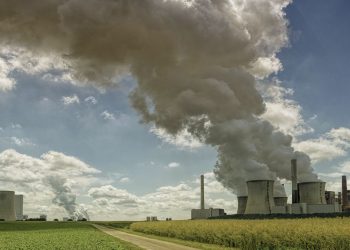 La ONU pide a todos los países del mundo que declaren la emergencia climática