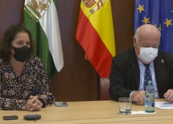 Andalucía aplica nuevos niveles en sus distritos sanitarios en virtud de la evolución de la pandemia