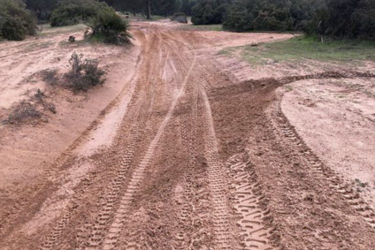 Espacios naturales protegidos sufren la invasión ilegal de motos de cross, quads y 4×4