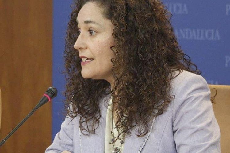 IU pide explicaciones en el Parlamento Andaluz sobre el ERE de Holcim y exige a la Consejera de Empleo alternativas para evitar los despidos