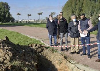 Prosigue la VI campaña anual de plantación de arbolado en avenida de Arcos, Sementales y Tomás García Figueras