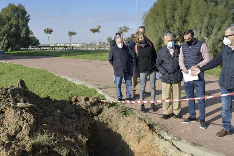 Prosigue la VI campaña anual de plantación de arbolado en avenida de Arcos, Sementales y Tomás García Figueras
