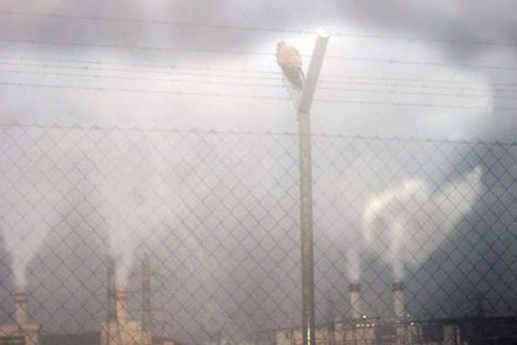 El pleno del Ayto. de Arcos declara la emergencia climática