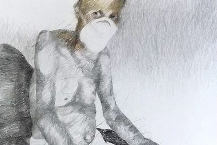 El año de la pandemia