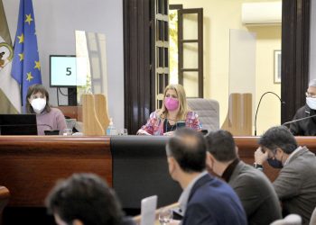 El Pleno encomienda al Ayuntamiento la gestión del servicio de agua solicitados por Guadalcacín, Estella y Torrecera