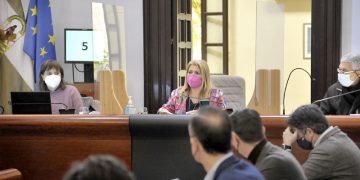 El Pleno encomienda al Ayuntamiento la gestión del servicio de agua solicitados por Guadalcacín, Estella y Torrecera