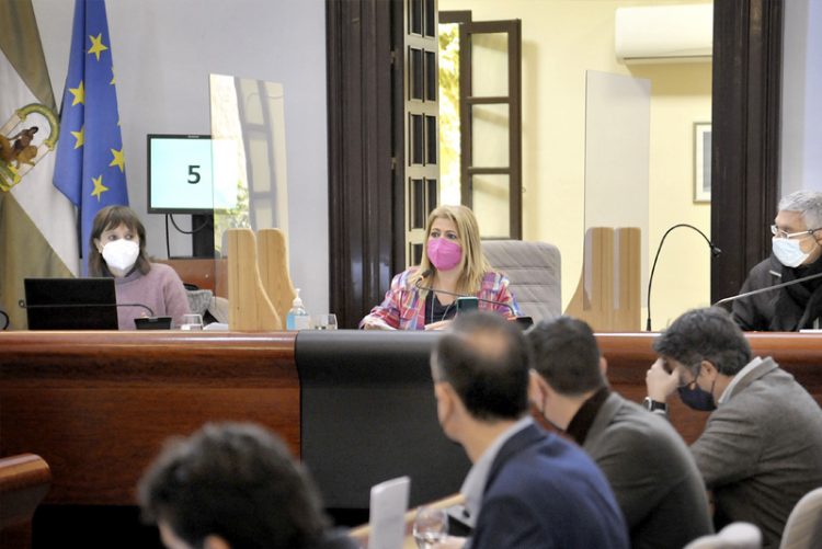 El Pleno encomienda al Ayuntamiento la gestión del servicio de agua solicitados por Guadalcacín, Estella y Torrecera