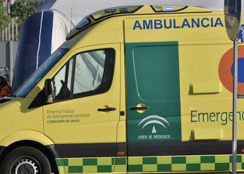 Herida una mujer tras caerle un árbol en la Plaza Aladro