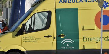 Herida una mujer tras caerle un árbol en la Plaza Aladro