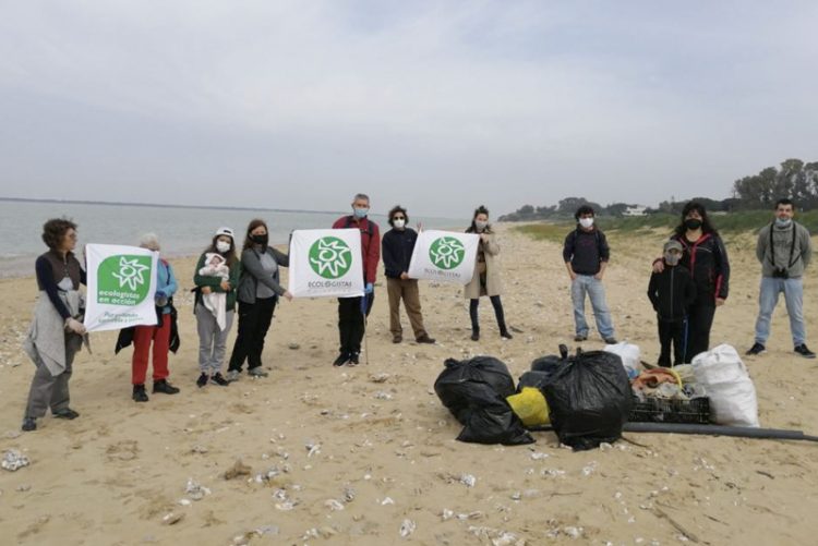 Sanlúcar: Campaña de voluntariado para la recuperación del Chorlitejo patinegro