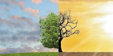 Mientras la crisis ecológica siga avanzando no hay nada que celebrar el Día de la Tierra