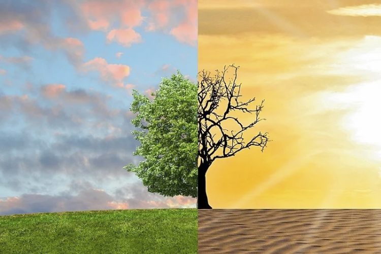 Mientras la crisis ecológica siga avanzando no hay nada que celebrar el Día de la Tierra