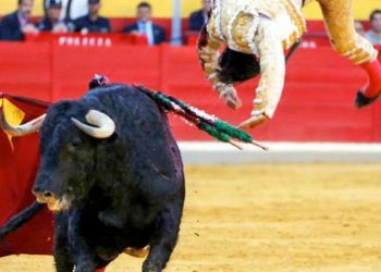 PP y Vox, con la complicidad del PSOE, devuelven las corridas de toros a RTVE