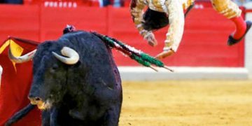 PP y Vox, con la complicidad del PSOE, devuelven las corridas de toros a RTVE