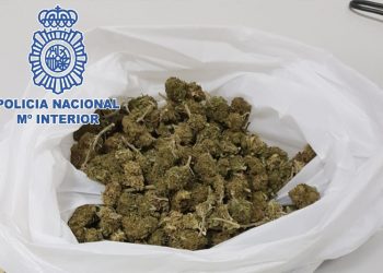 Detenido en El Puerto con una bolsa llena de cogollos de marihuana