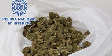 Detenido en El Puerto con una bolsa llena de cogollos de marihuana