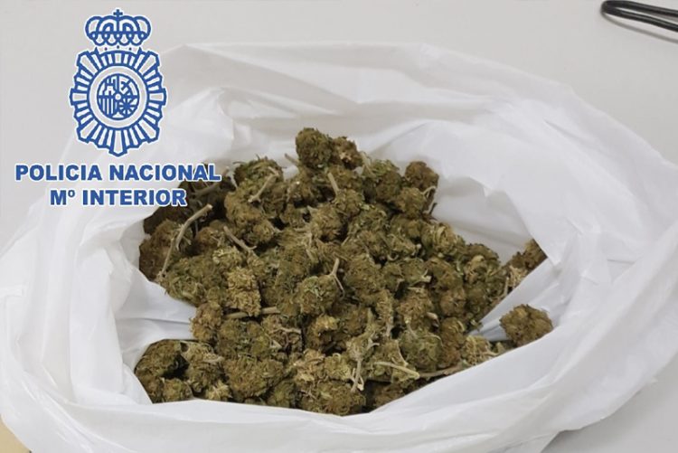 Detenido en El Puerto con una bolsa llena de cogollos de marihuana