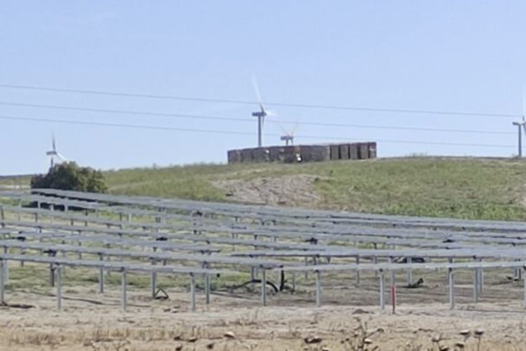 Ecologistas en Acción expresa su preocupación por la avalancha de proyectos de energía fotovoltaica