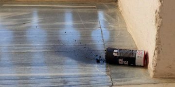 El Ayuntamiento de Cádiz, desalojado tras el lanzamiento de botes de humo por parte de la policía local al interior del edificio consistorial