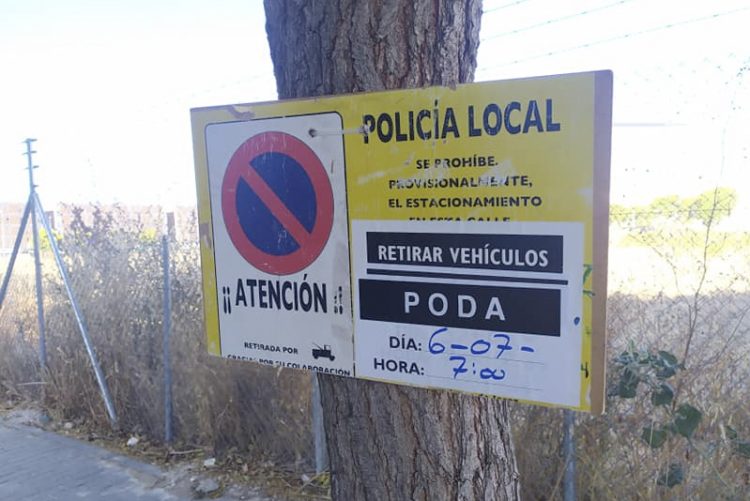 Desahucio forzoso para las aves de la zona sur