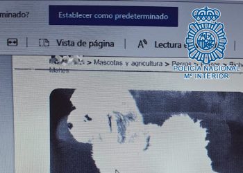 Desarticulada en Jerez una protectora de animales ficticia que estafó a particulares por toda España con falsas adopciones de cachorros
