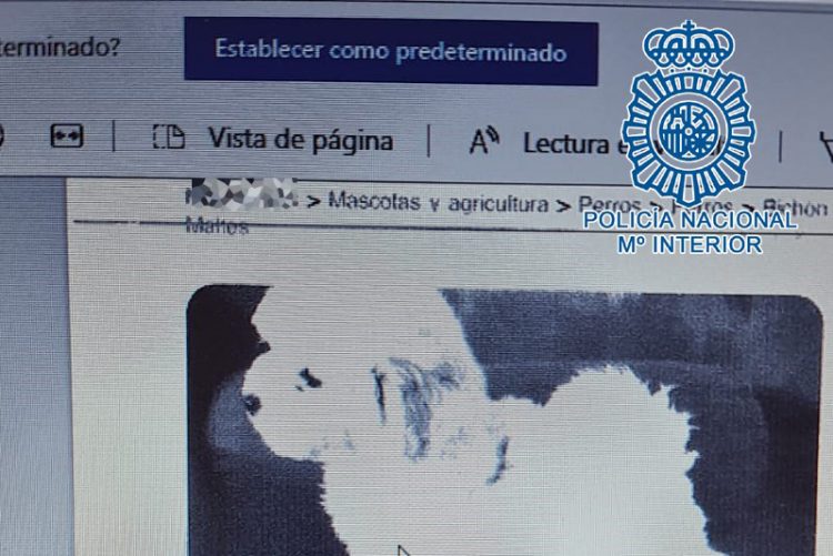 Desarticulada en Jerez una protectora de animales ficticia que estafó a particulares por toda España con falsas adopciones de cachorros