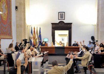 Apoyo unánime del Pleno al reagrupamiento de la deuda financiera