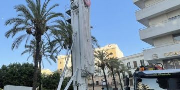 Noria Plaza Arenal VS palmera Plaza Arenal