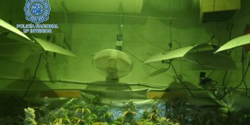 Desarticulado en la provincia de Cádiz un grupo dedicado al cultivo, procesado y distribución de marihuana