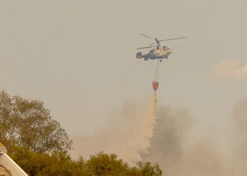 Fallece un bombero forestal durante las labores de extinción del incendio de Sierra Bermeja