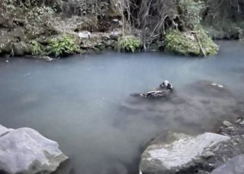 Piden que se investigue los continuos vertidos al río Majaceite en Benamahoma