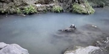 Piden que se investigue los continuos vertidos al río Majaceite en Benamahoma