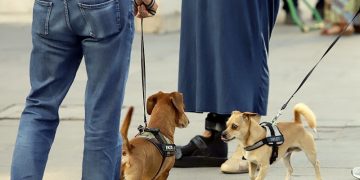 Más controles para el cumplimiento de la normativa sobre mascotas en la vía pública