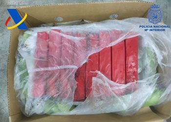 Intervenidos en el Puerto de Algeciras 1.152 kilogramos de cocaína ocultos entre mercancía legal de plátanos
