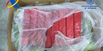 Intervenidos en el Puerto de Algeciras 1.152 kilogramos de cocaína ocultos entre mercancía legal de plátanos