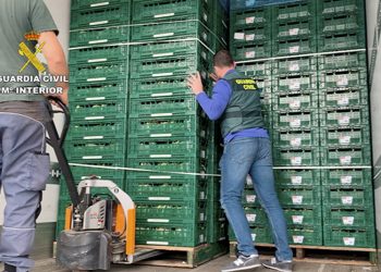 11 detenidos en Málaga por transportar droga entre coliflores