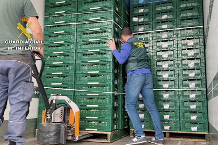 11 detenidos en Málaga por transportar droga entre coliflores