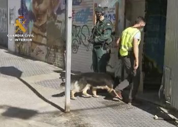Detenida en Málaga una persona radicalizada que realizaba actividad proyihadista en redes sociales