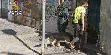 Detenida en Málaga una persona radicalizada que realizaba actividad proyihadista en redes sociales