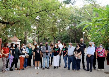 Con la esterilización de más de 400 gatos culmina la campaña de este año puesta en marcha con Diputación y protectoras felinas